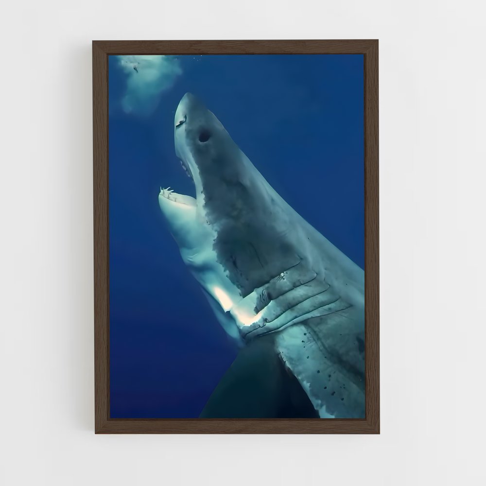 Poster Great white – affiche Plongée sous-marine (vue 5)